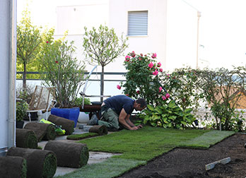 Arbeiten an der Pergola